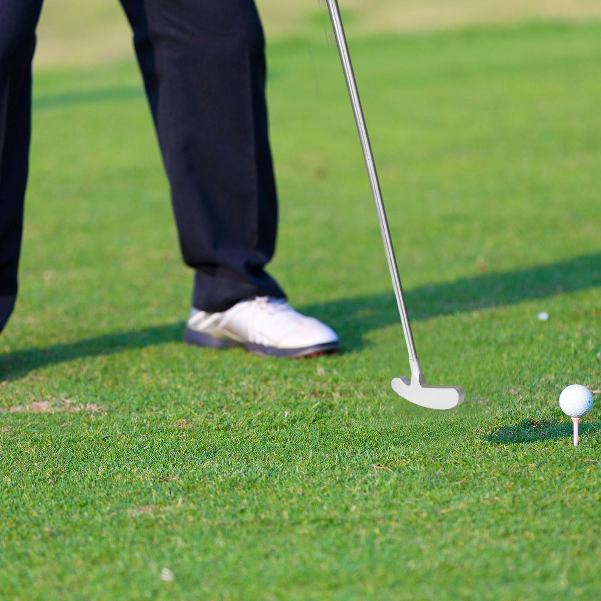 Ideal for greens, backyards, clubs, and travel with ease.