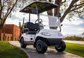 TakeLook matte black option blends with most cart colors and accessories.