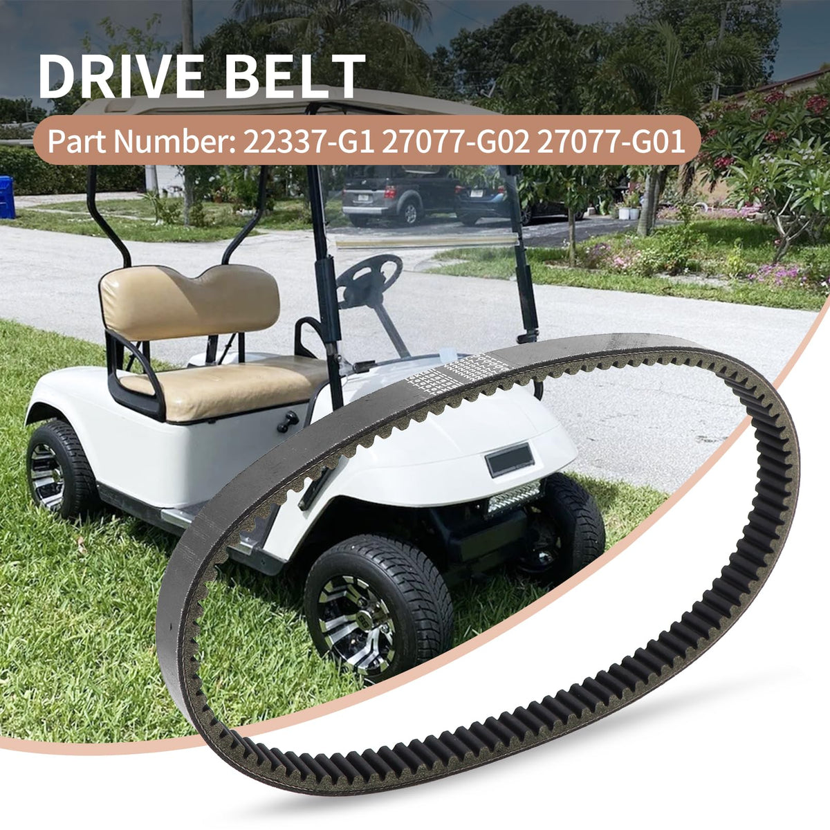 Tektall drive belt 27077-G01 close-up highlights OE-replacement compatibility.