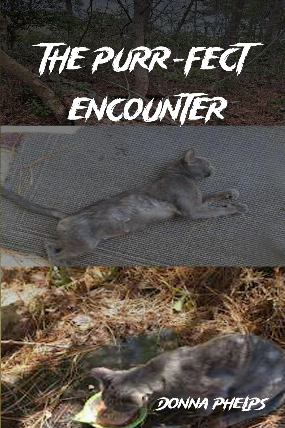 The PURR-fect Encounter book cover featuring cats, ideal for animal lovers
