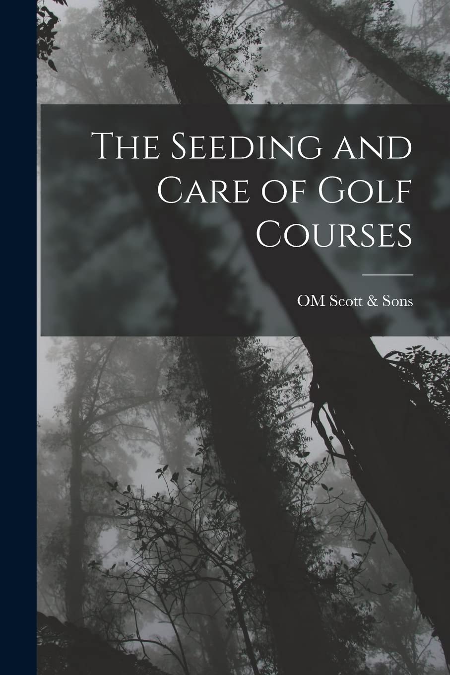 The Seeding and Care of Golf Courses: close-up seedbed for even germination and turf health