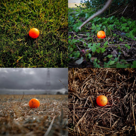 Trust Aurora Bright Orange on-green spin-demo showing tracking and control