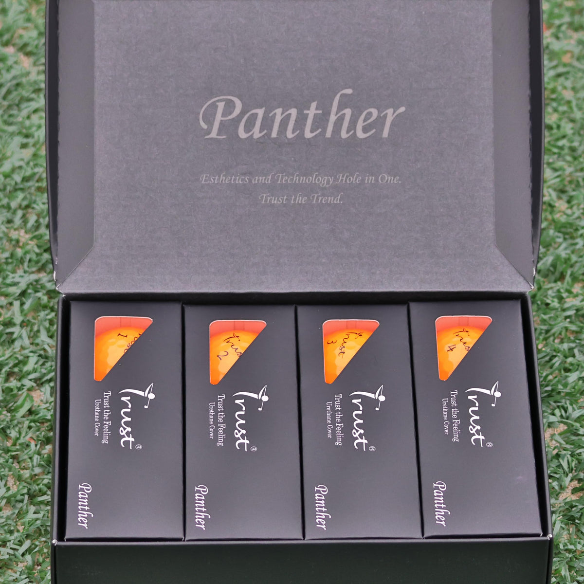 Trust Golf Panther 12-ball pack packaging