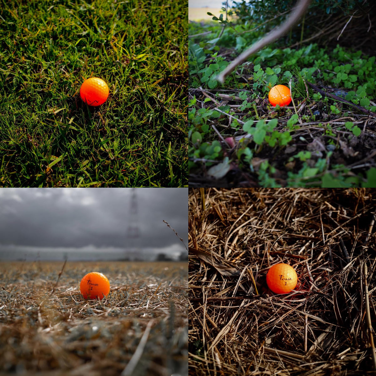 Trust Panther high visibility orange ball for easy tracking on course.
