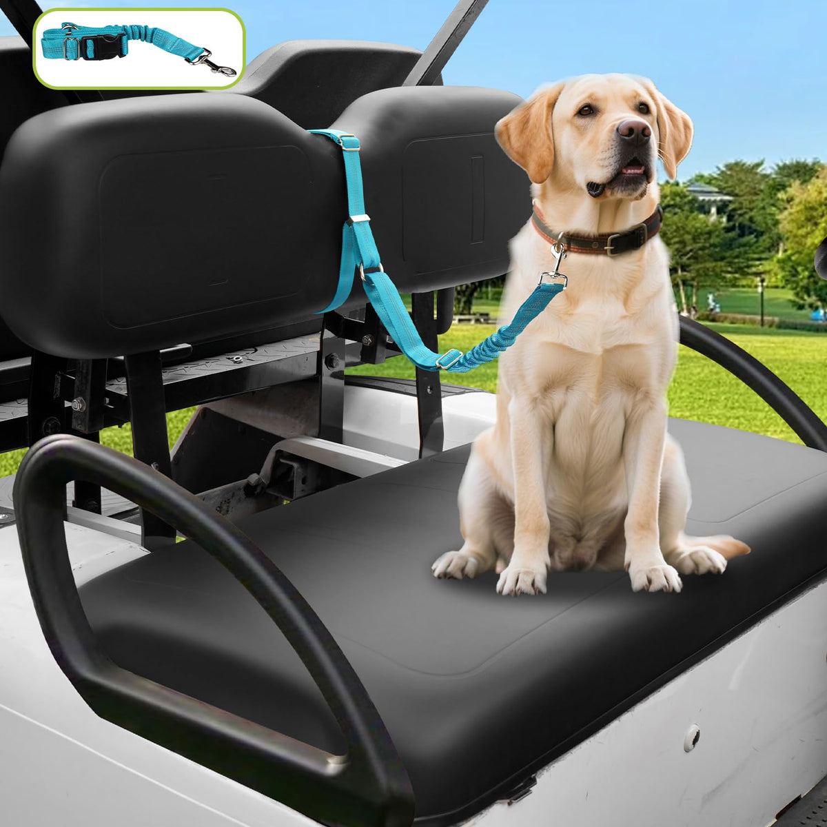 Urgown golf cart dog seat leash with backrest attachment for secure rides