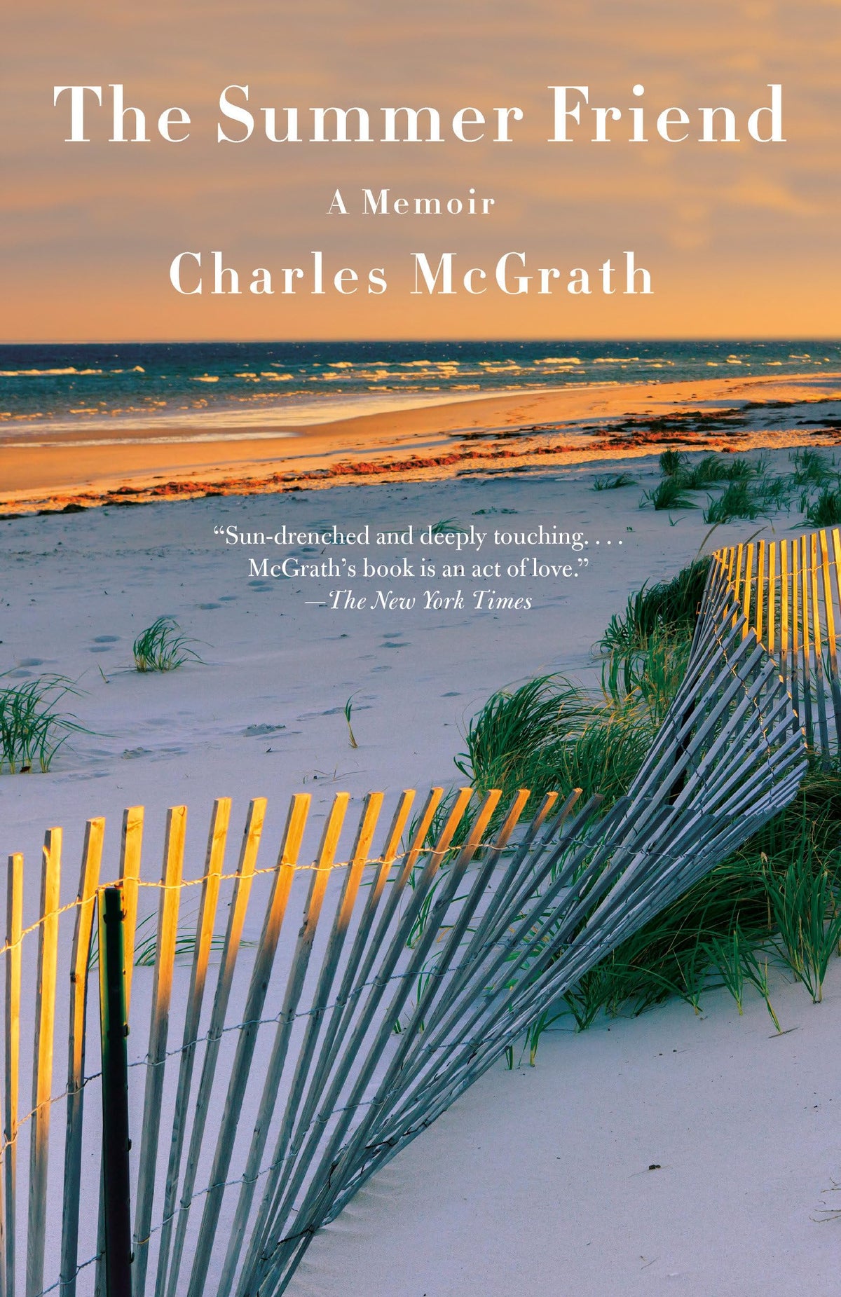 Vintage The Summer Friend memoir cover, inviting summer nostalgia for reading and gifting.