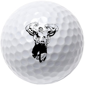 Volvik Vista3 12-pack golf balls ready for play and gifting