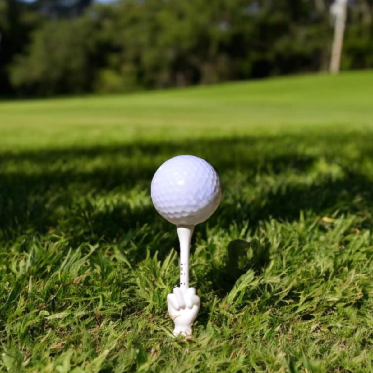VONVOO novelty golf accessory enhances group outings with lighthearted charm.