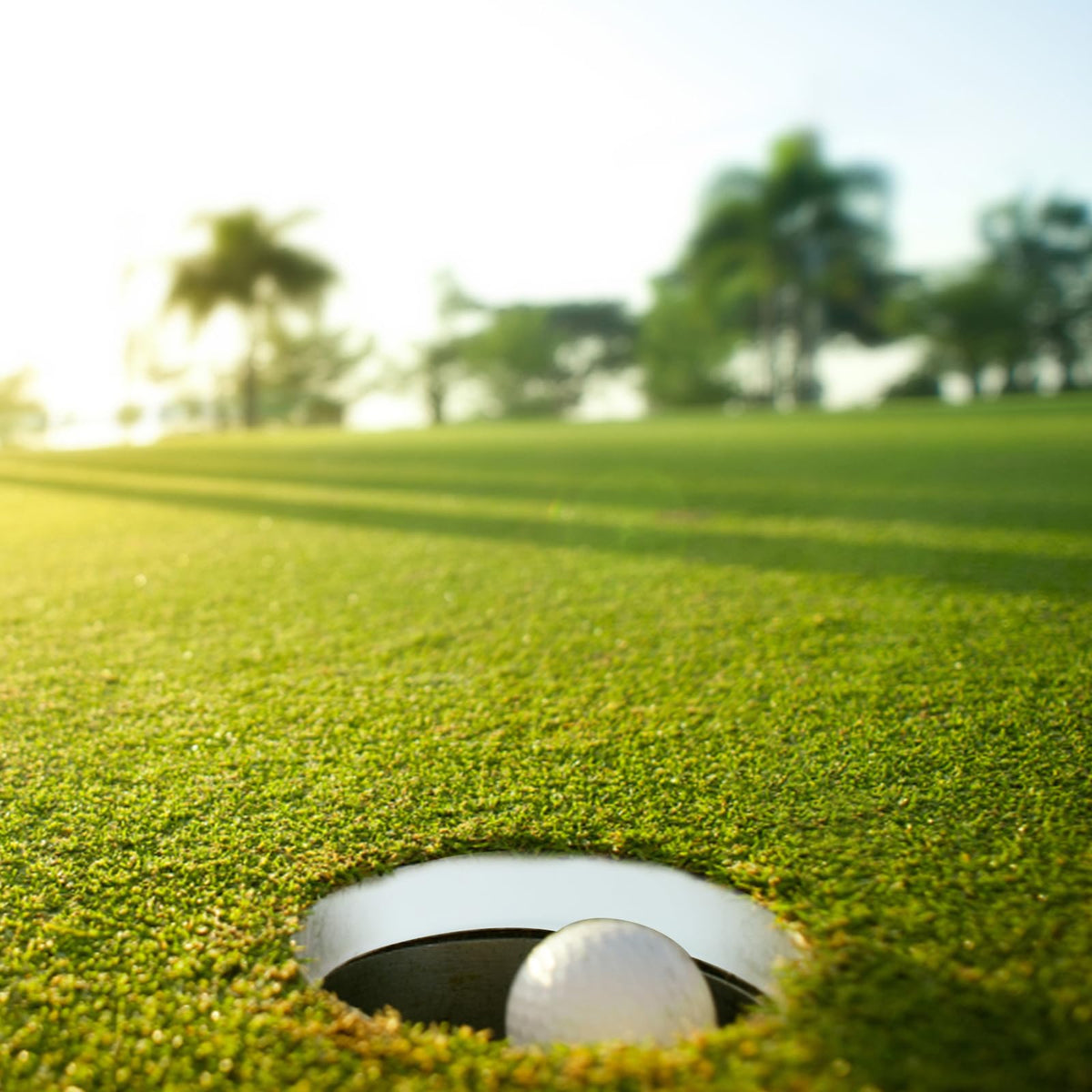 Wakauto golf hole visibility and stability rings improve aiming for consistent practice