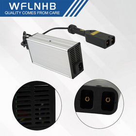 WFLNHB 36V 5A charger with D-type plug simplifies compatibility across models