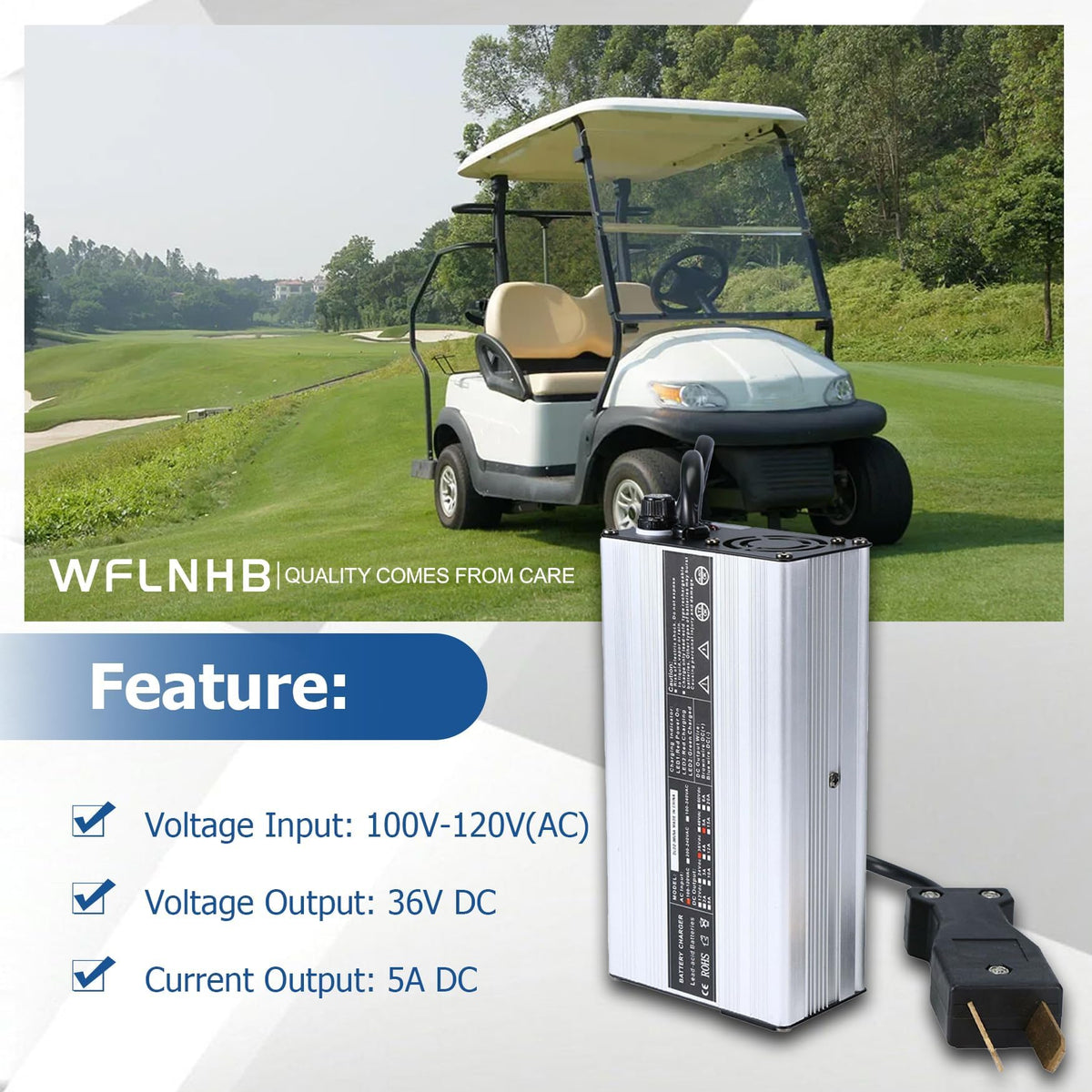 WFLNHB 36V 5A charger, spec label guides setup.