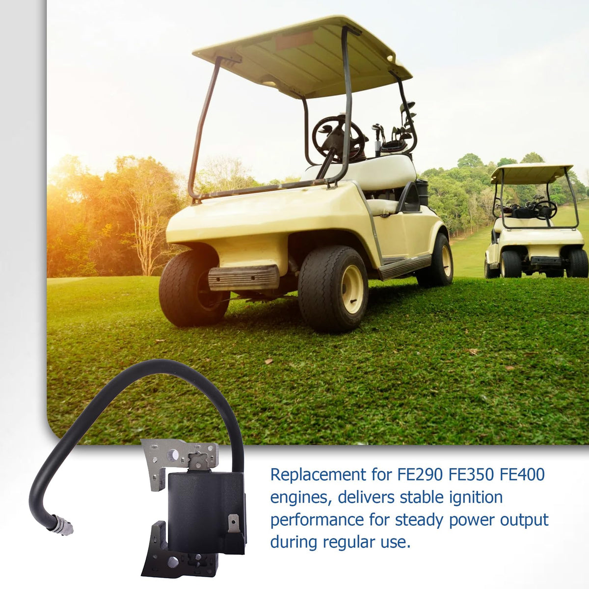WFLNHB installed on Club Car DS illustration demonstrating cart compatibility