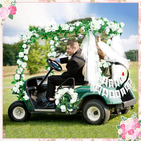 WinnerWhy plastic rose garlands stay vibrant throughout celebrations.