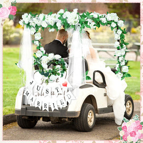 WinnerWhy chiffon drape creates romantic, elegant cart ambiance.