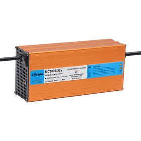 Xiixtoo lightweight 3.2 lb charger ideal for portable use.