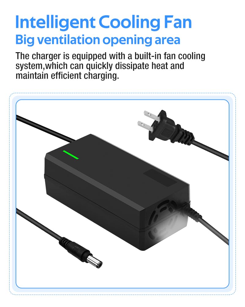 XIUWK 42V5A charger six-output ports for multiple batteries.