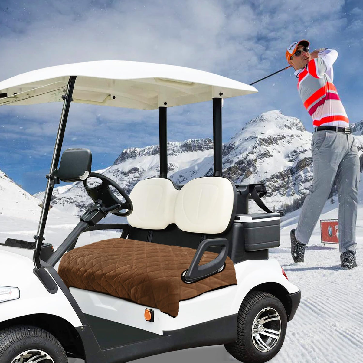 YOKYHOM dark brown finish enhances the golf cart interior appearance.