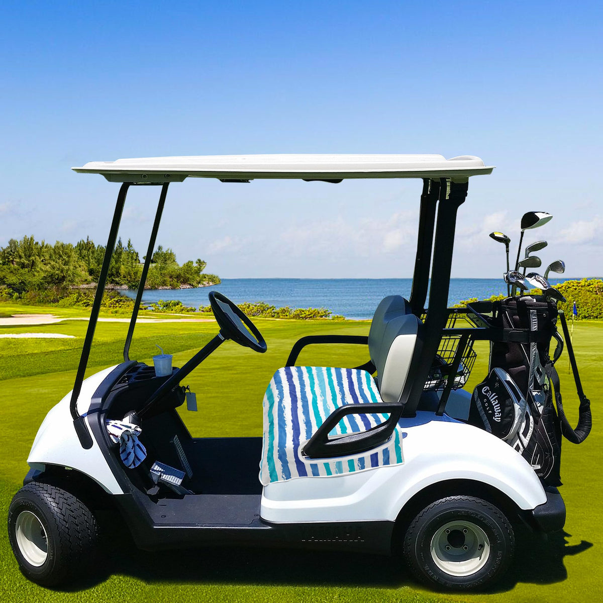 Compatible with EZGO, Club Car, Yamaha and other two-seat carts.