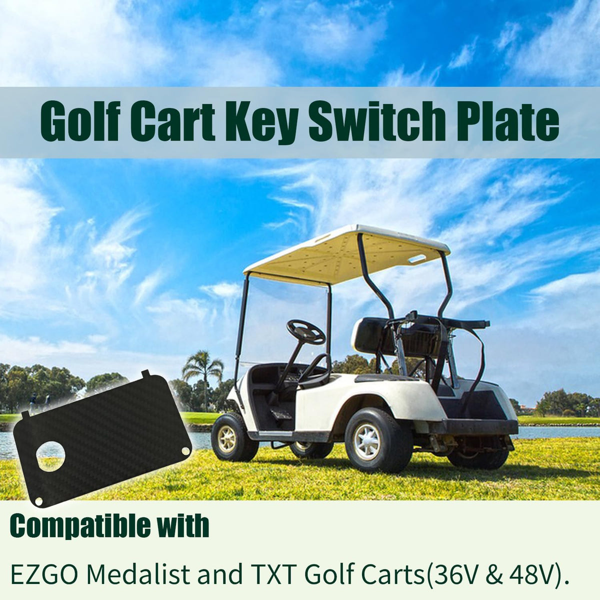 ZHWOTO EZGO TXT and PDS key switch plate installation guide.