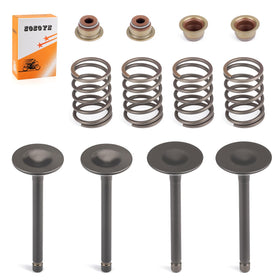 Compatibility of Zozoye EZGO valve kit with Fuji Robin 295cc/350cc engines
