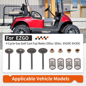Zozoye EZGO valve kit springs for reliable valve closure under heat